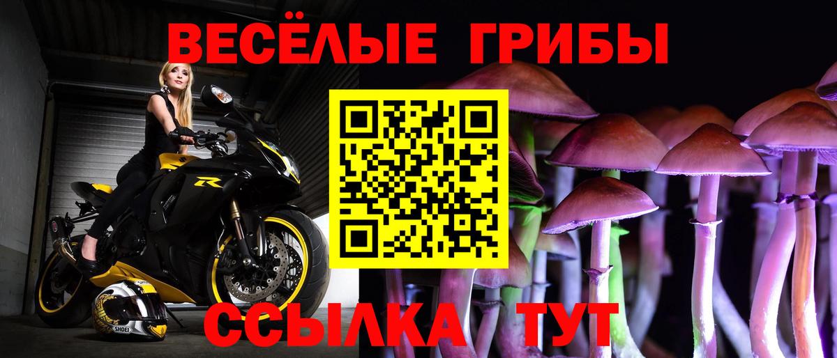 Галлюциногенные грибы Cubensis  Вход с VPN  Ессентуки 