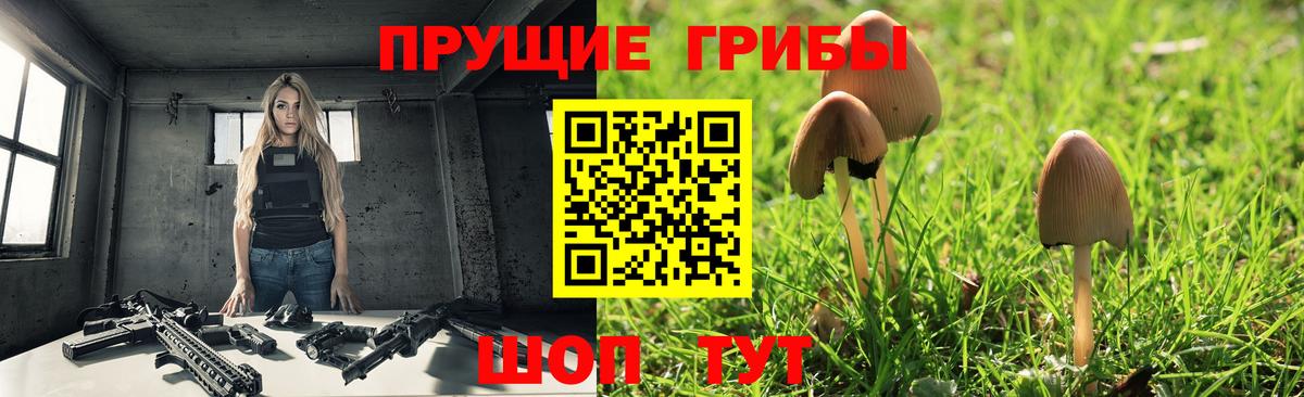 Псилоцибиновые грибы MAGIC MUSHROOMS Ессентуки